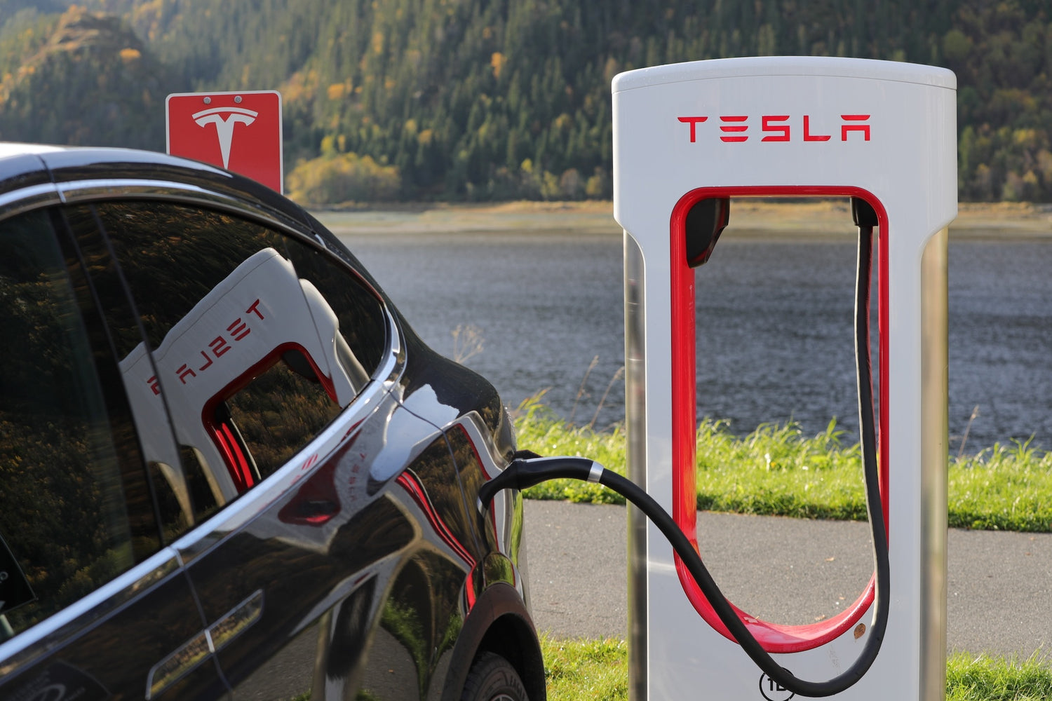 Application electronics electric vehicle